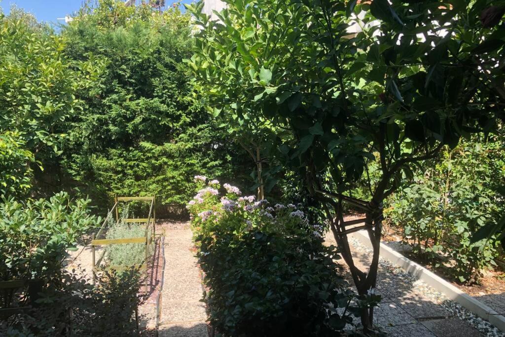 Ανακαινισμενη Μονοκατοικια 125 Τμ Στο Κεντρο Με Κηπο Villa Meszolóngi Kültér fotó